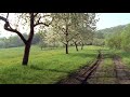 ( Unter unserem Himmel - 50 Jahre)  Streuobstwiesen in Franken - Eine vergessene Landschaft