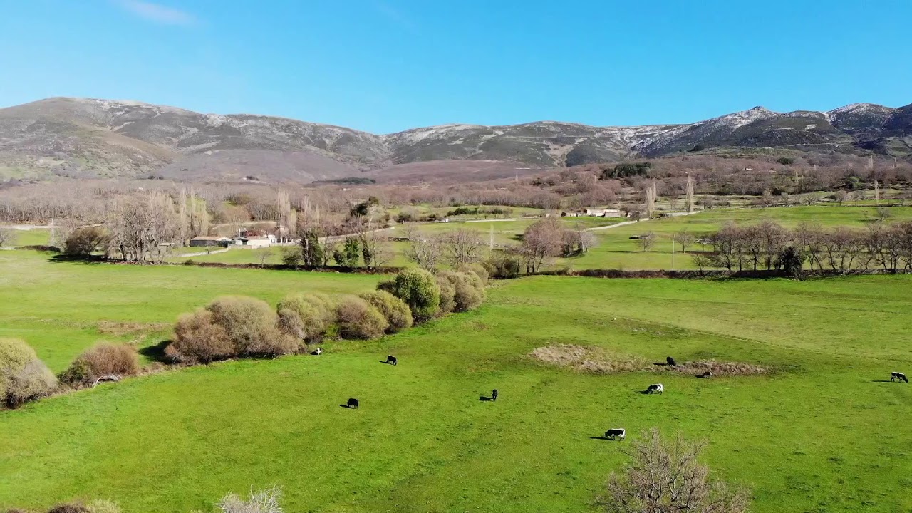 VOLANDO SOBRE EL VALLE DEL CORNEJA