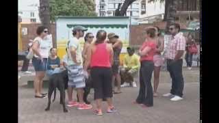 Impe Sobre O Projeto De Revitalização Do Corredor Vera Arruda