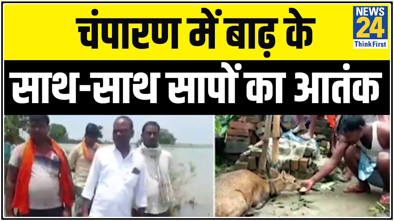 Bihar के चंपारण में बाढ़ के साथ-साथ सापों का आतंक || News24