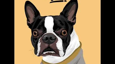 tutorial vector pet|cara mudah menggambar vector pet menggunakan infinite design #pet #vector #art