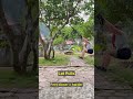 TRX Pull-up Progression Moves