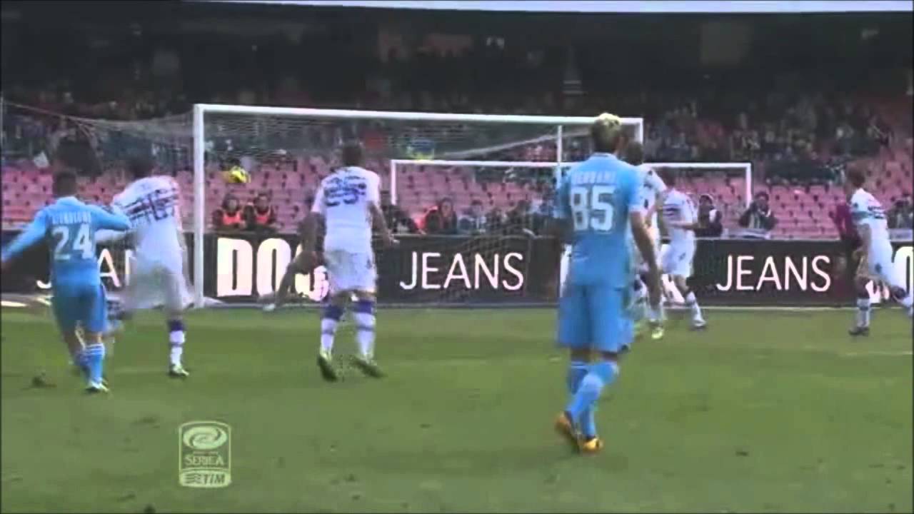 Valon Behrami 2012 13