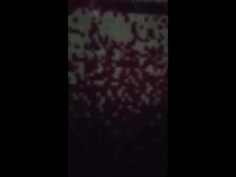 ولي امل بربي لا يخيب