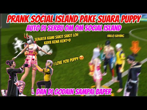 PRANK SOCIAL ISLAND PAKE SUARA PUPPY AUTO DI SERBU OM OM SOCIAL ISLAND 😱