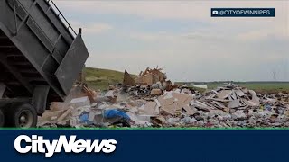 In Winnipeg to compost or not to compost- should not be a question