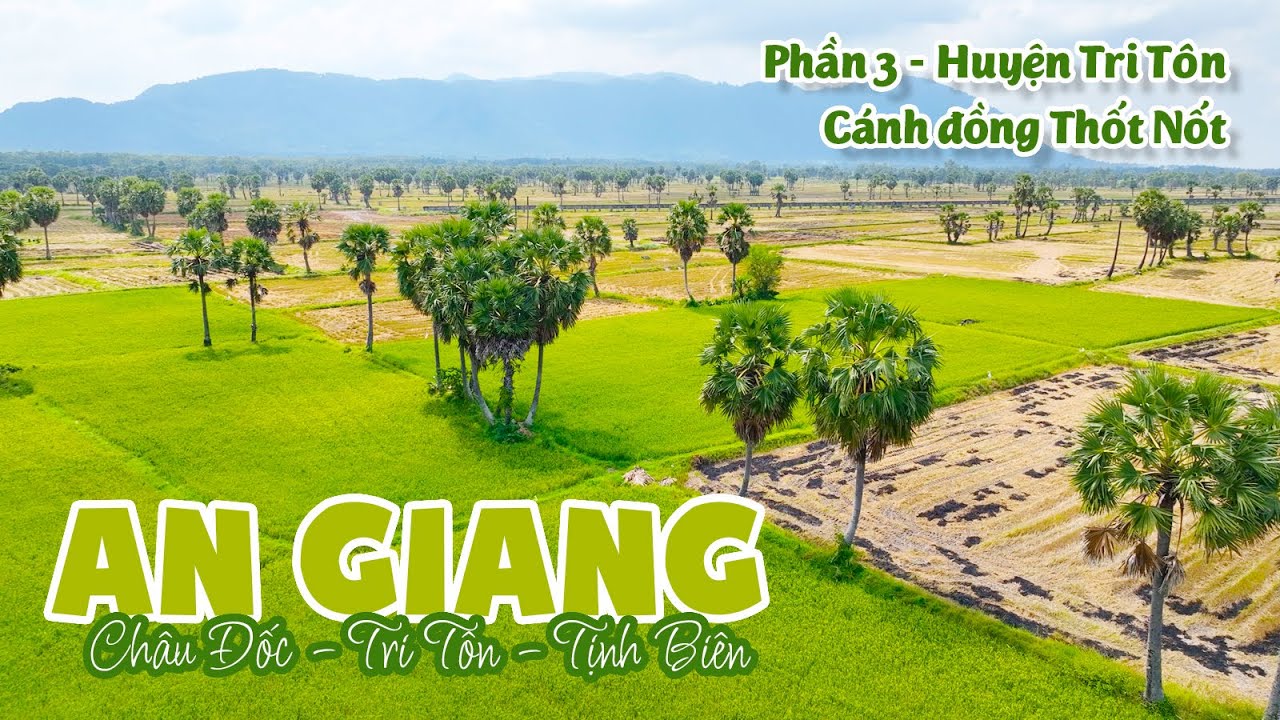 Cánh đồng Thốt Nốt, Huyện Tri Tôn, Núi Cấm, Núi Cô Tô - Một thoáng An Giang - Phần #3