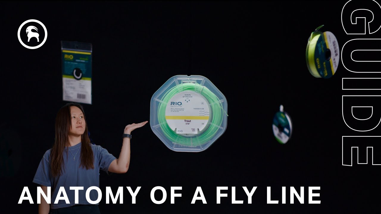 Anatomy of a Fly Line 