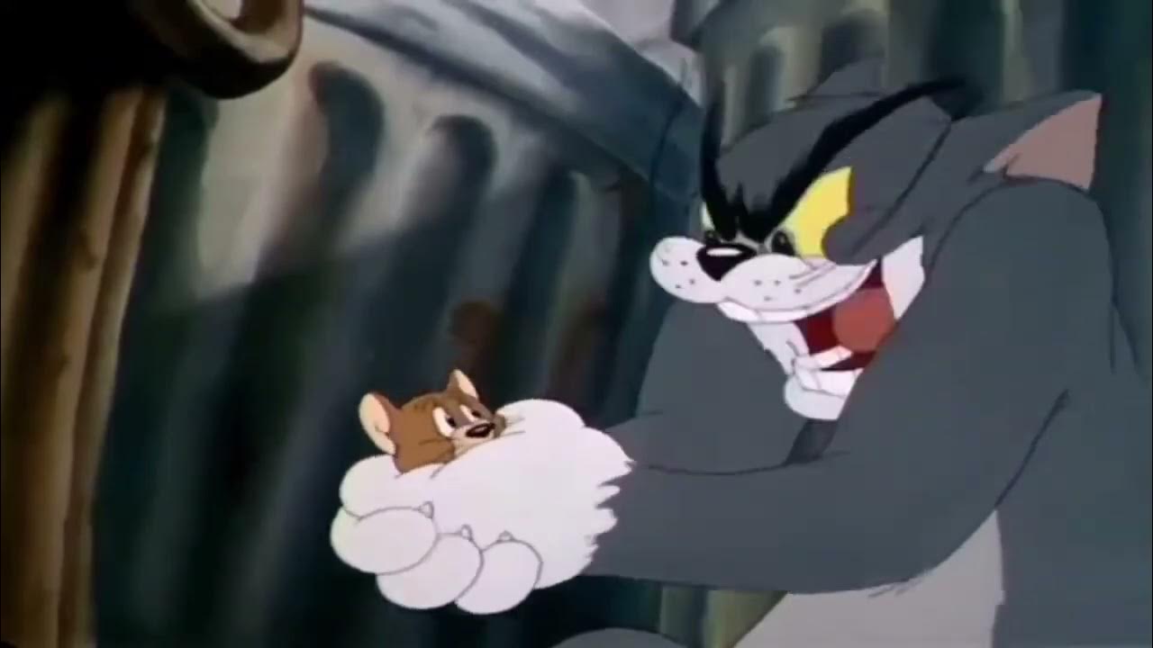 What does tom say
