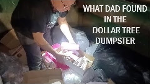 DUMPSTER DIVING at Dollar Tree for Treats and Goodies!