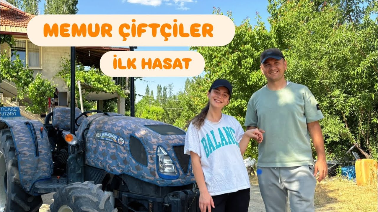 TELLİ TERBİYİE SİSTEM M9 TAM BODUR ROSE GLOW ELMA BAHÇESİ. Memur Çiftçiler olarak ilk hasadımız. 