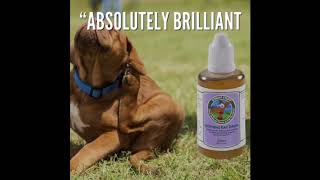 ear stuff stinky stuff