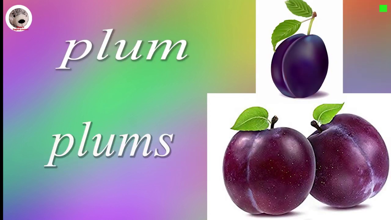 food-82-words-food-fruit-vegetables-berries-and-plants-learning-singular-and-plural-nouns-youtube