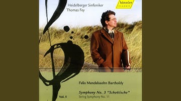 Sinfonia No. 11 in F Major, MWV N11: V. Allegro molto