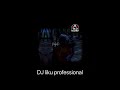 #dj #sambalpurisingbajadjashitosh #love #odiadjremix sajani
