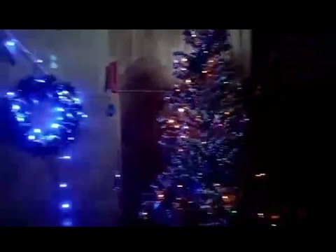 CHRISTMAS TREE , Makulay na ang PASKO : INDEPENDENT Kiddos 😍🥰😘
