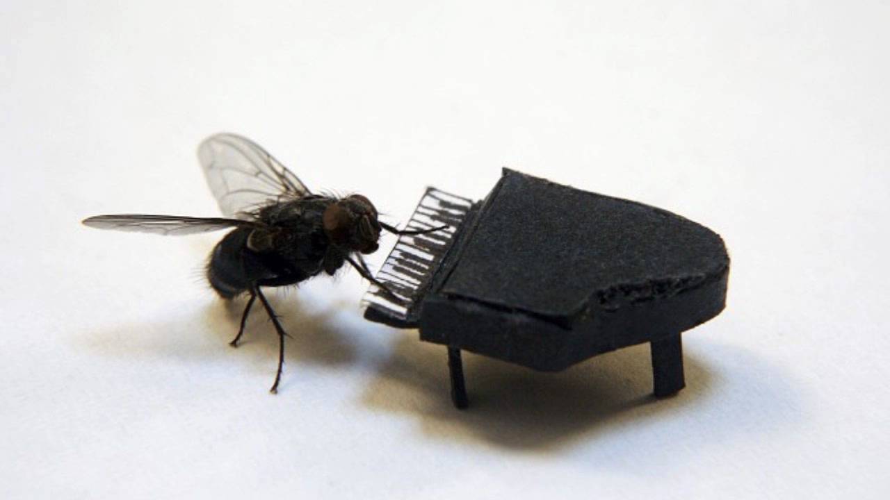 コーネリアスのLOVE OVER TIME vol.52(1996年3月25日) 出演 小山田圭吾