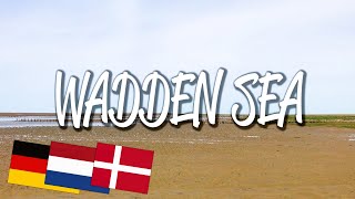 Wadden Sea - UNESCO World Heritage Site