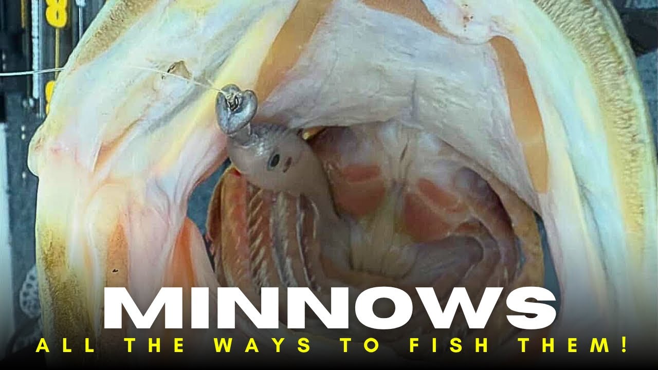 Can Straight Tail Minnows Be Used Without a Jighead?