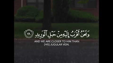 ولقد خلقنا الانسان ||قرآن كريم بصوت الشيخ سعيد الخطيب || حالات واتس اب دينية