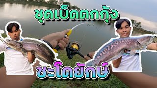 ตกชะโดยักษ์ด้วยคันตกกุ้งอันเล็กนิดเดียว โคตรเดือด!!!  #ตกชะโด #slxdc #goprohero9 #giantsnakehead