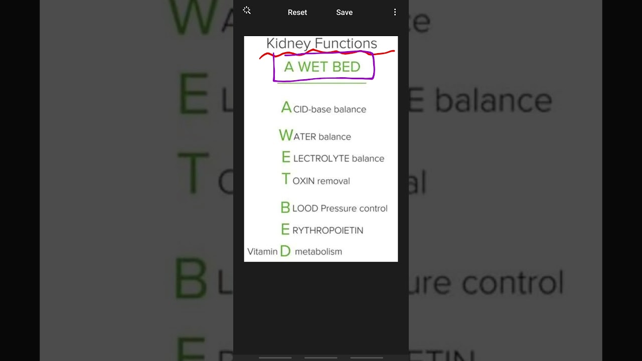 Mnemonic for 7 Kidney Functions YouTube