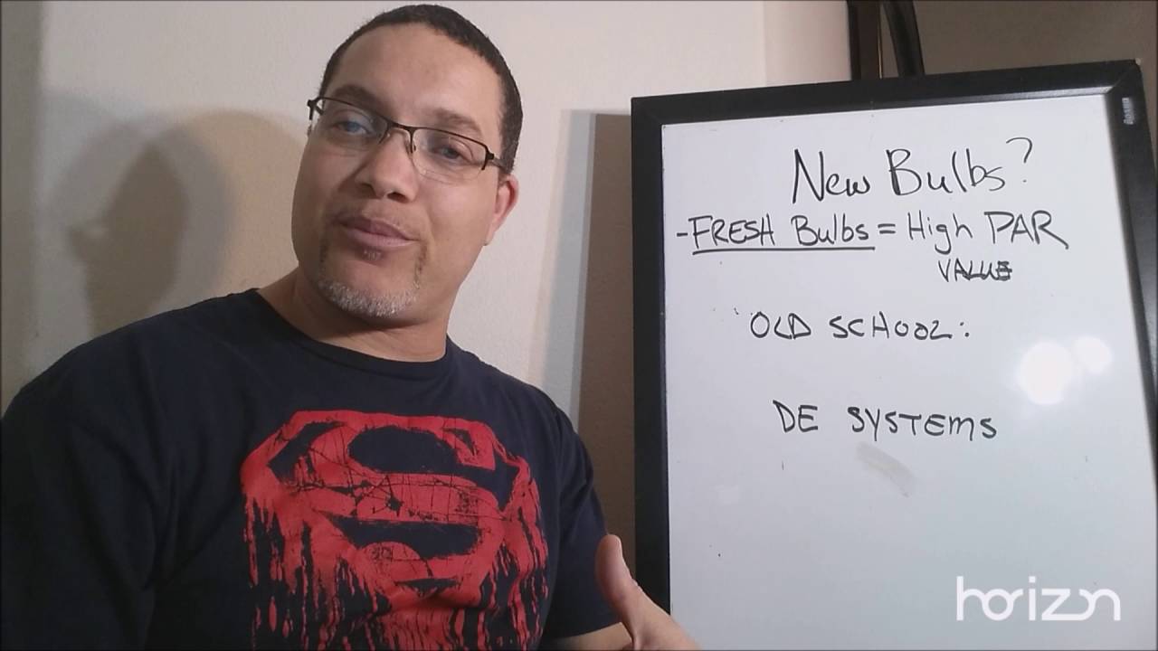 Best time for New Bulbs in your Grow Room?