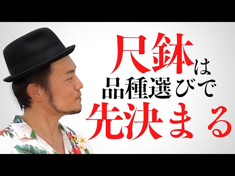アンスリウム先生 Vol.73】 小さな株から大鉢へ育て上げるコツ