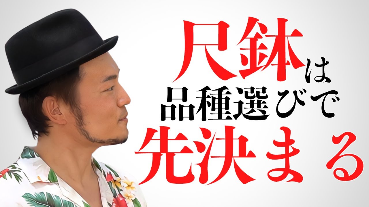 アンスリウム先生 Vol.73】 小さな株から大鉢へ育て上げるコツ