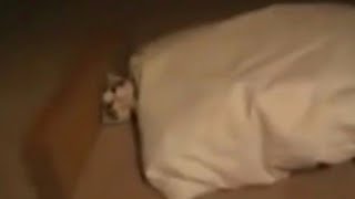 LOW QUALITY MEMES COMPILATION V41