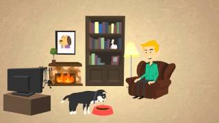 OUR  HOME DOG BOARDING