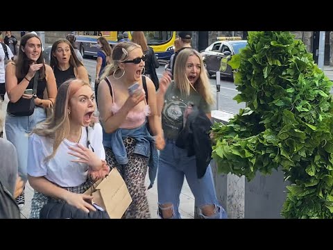 The Craziest Screams Ever. Bushman Prank