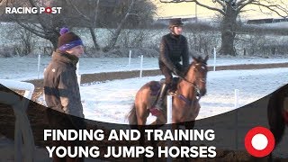 How to find and train a young jumps horse