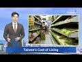 Inflation in Taiwan Hits 17-Month High in June｜TaiwanPlus News