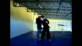 Hanshi gouveia - série lembranças - 26 - tanto dori.avi