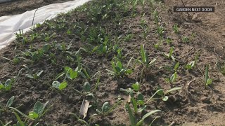 Ohio farmer credits community support as drought conditions persist
