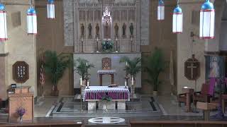 St Francis English Mass - 9am