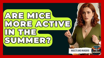 Are Mice More Active In The Summer? - Insects and Invaders