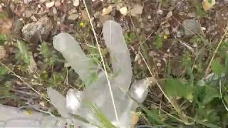 Corona Gloves by filmer138 31 views 4 years ago 57 seconds