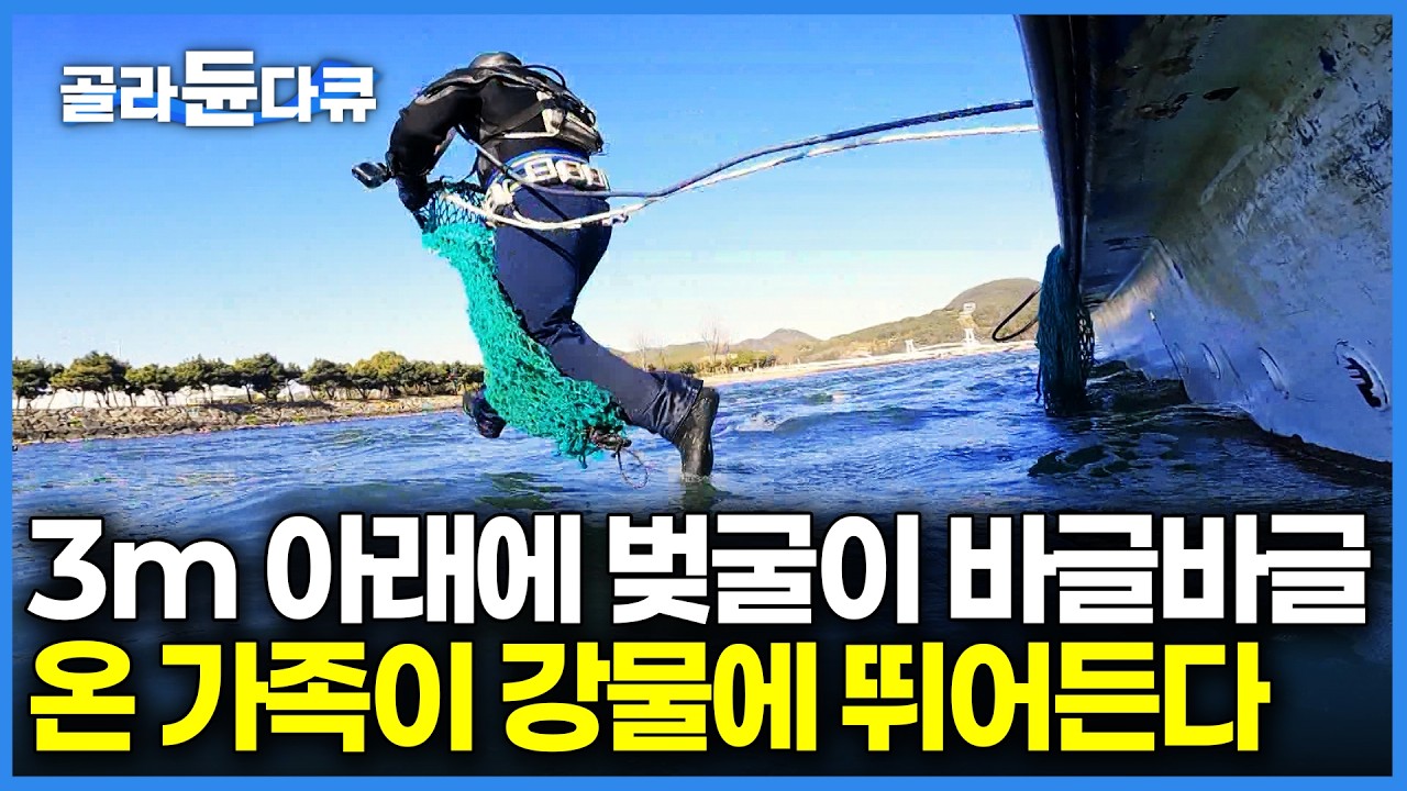 봄바람 불자마자 목숨 걸고 강바닥에 뛰어들었더니 하루 만에 375만 원어치 황금을 캐냈다｜어른 얼굴만 한 섬진강 벚굴｜극한직업｜#골라듄다큐