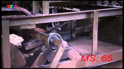 MS65 Máy gọt củ quả dạng dài