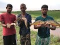 Anaconda, Golden Tegu & Peacock Bass Caught by hand.