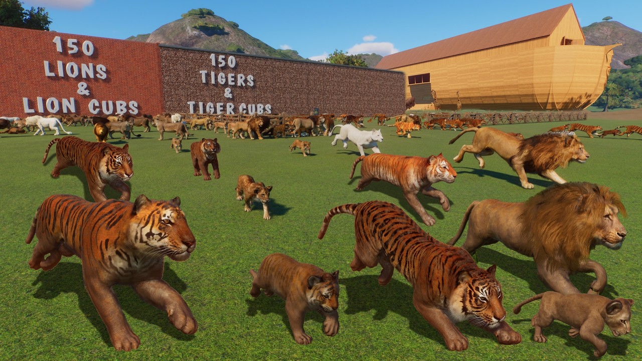 150 Lions VS 150 Tigers Animals Race in Noah's Ark Planet Zoo included Baby Lion, and Baby Tiger