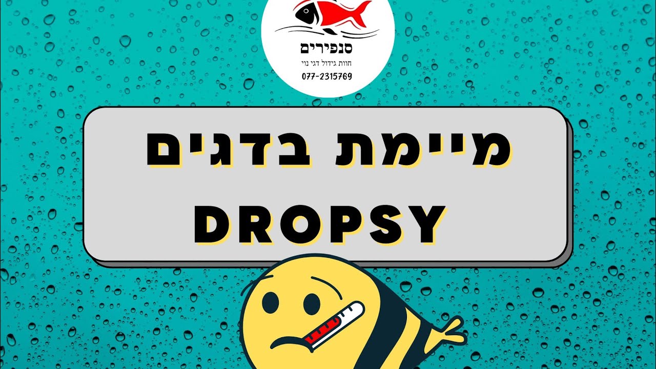 מיימת Dropsy בדגים