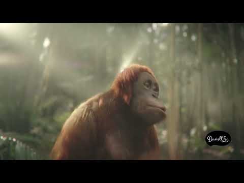 100% Palm Oil Free | Darrell Lea Makes It Better