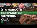В Оше запустили крупное кондитерское производство | НОМАД ТВ