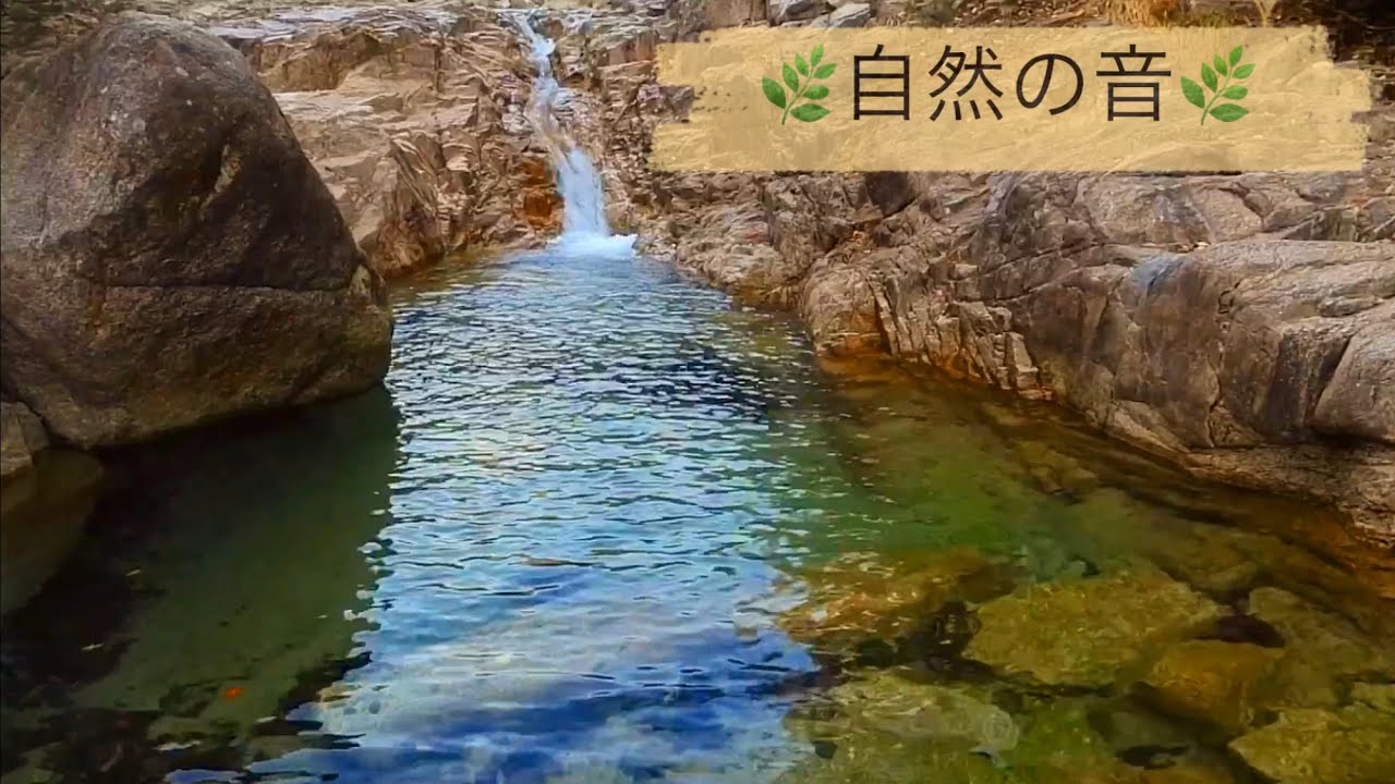 [癒しの時間]川のせせらぎ 自然音 睡眠 リラックス #nature #自然 - YouTube