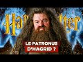 5 PERSONNAGES IMPORTANTS SANS PATRONUS DANS HARRY POTTER - AMPLIFICATUM #07