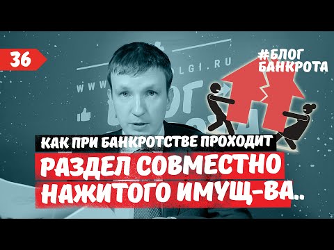 Раздел совместно нажитого имущества супругов при банкротстве. Блог Банкрота. Выпуск 36.