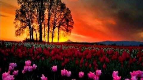 الشيخ عبدالودود حنيف ( صوت رائع ) سورة الناس